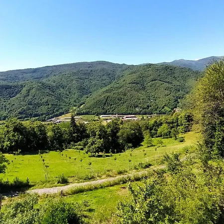 Il Sogno Di Remi *